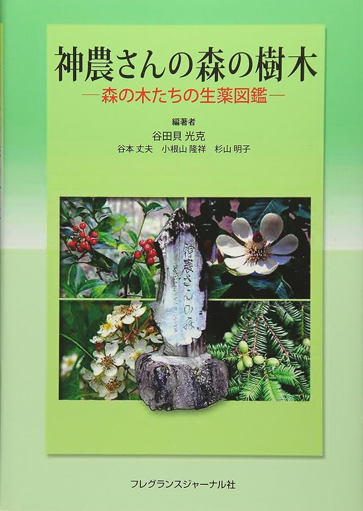 植樹マン「いのちの森の使者」 ENCYCLOPEDIA OF FLOWERS Ⅳ 植物図鑑｜青幻舎 SEIGENSHA Art